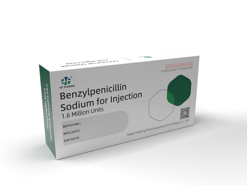 Benzylpenicillin Sodium for Injection 