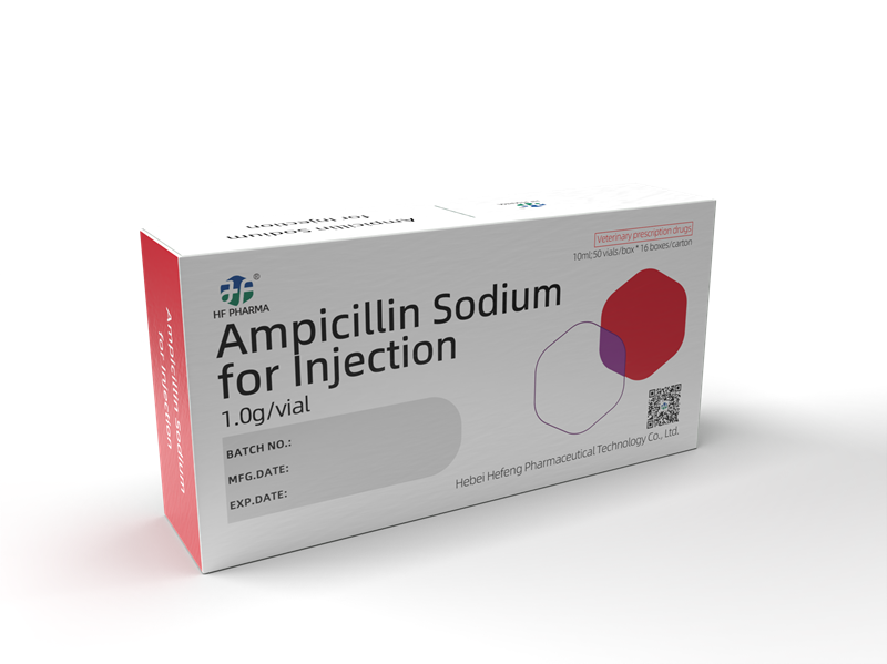 Ampicillin Sodium for Injection 