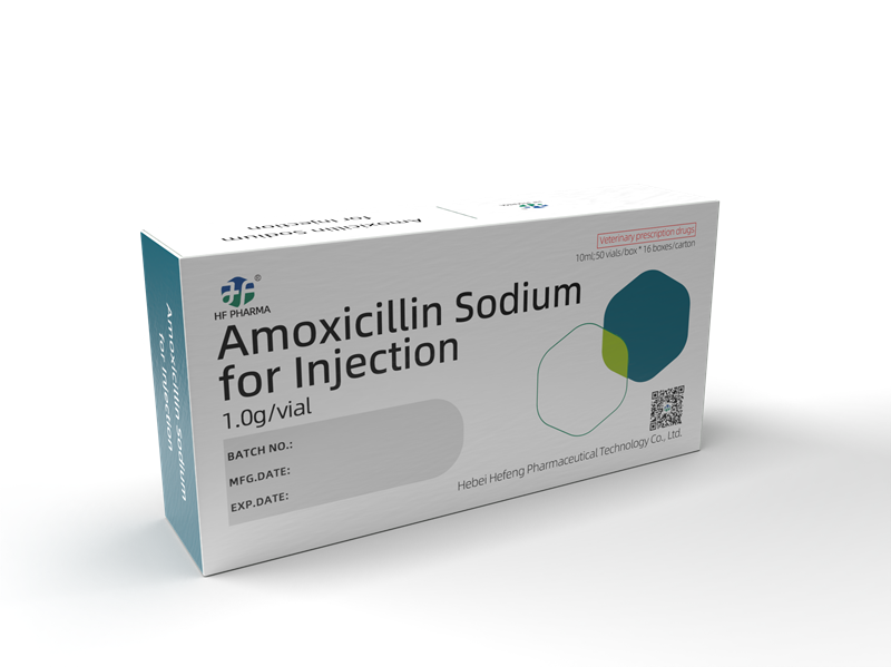 Amoxicillin Sodium for Injection