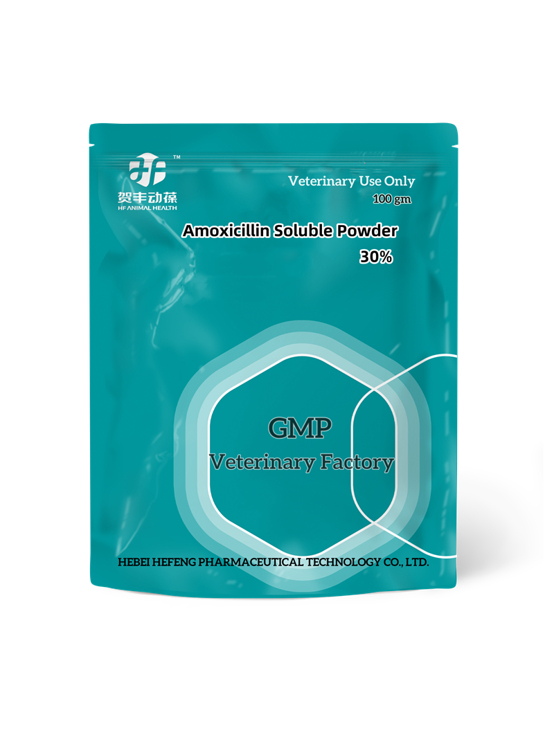Amoxicillin Soluble Powder
