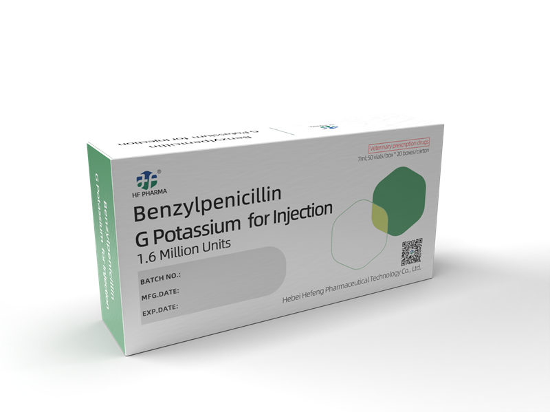 Benzylpenicillin G Potassium  for Injection 